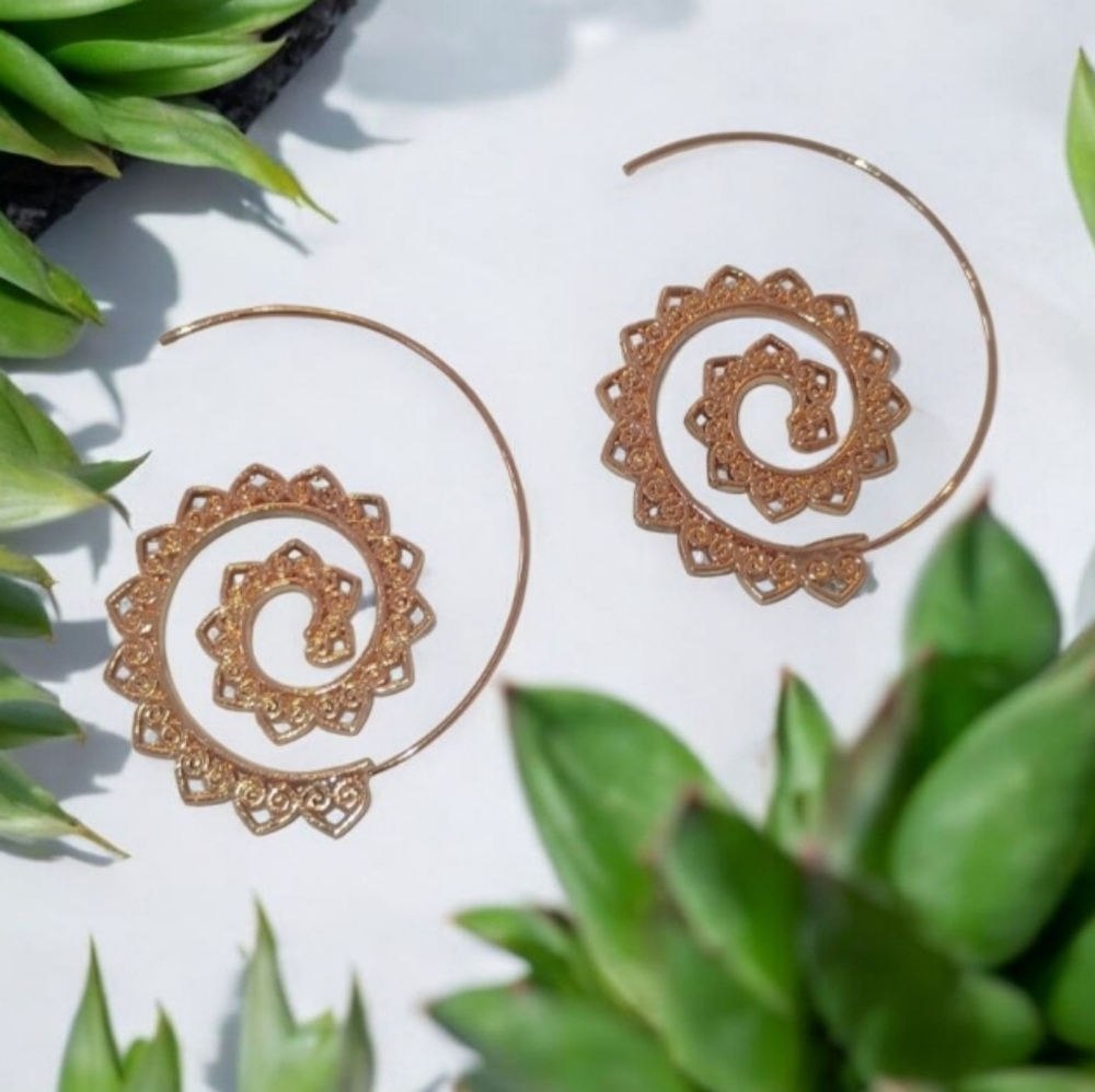 Spiral Hoop Earrings in Silver and Gold - Picture 3 of 16